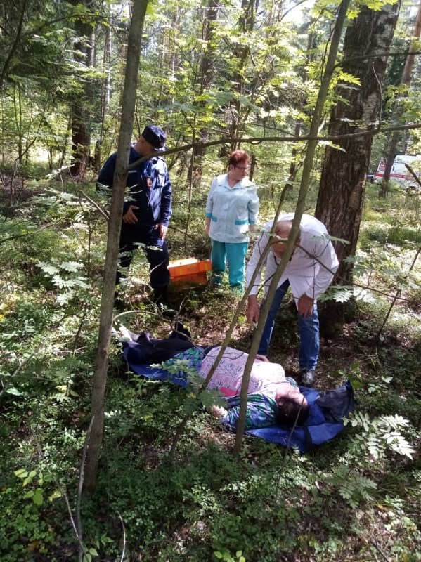 Подмосковные спасатели оказали помощь женщине, с которой в лесу случился инсульт