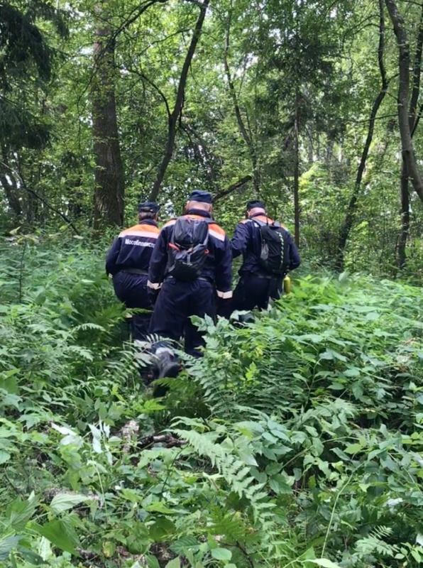 Спасатели ГКУ МО «Мособлпожспас» вынесли из леса обессиленную пожилую женщину