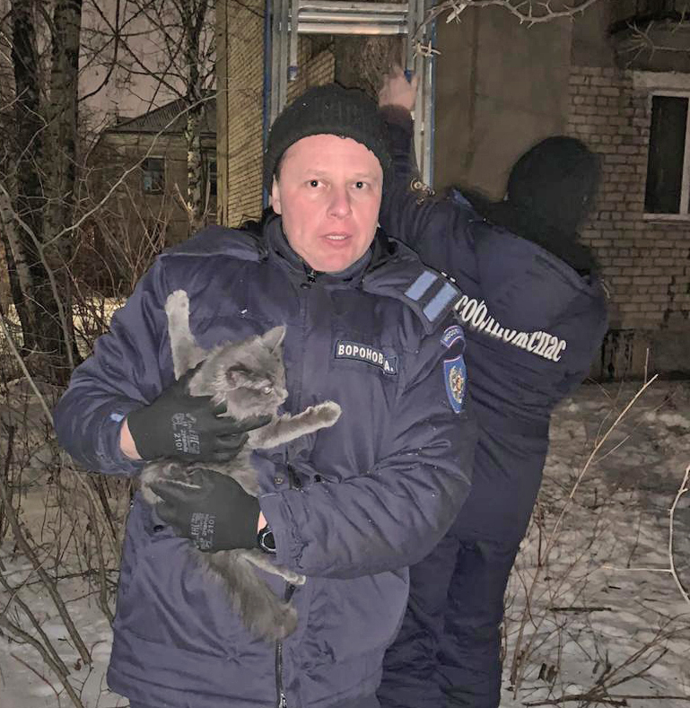 Спасатели ГКУ МО «Мособлпожспас» сняли кошку с дерева
