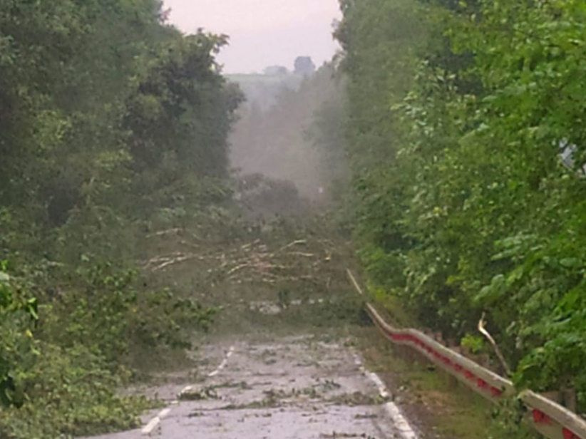 Работники ПСЧ-267 ГКУ МО «Мособлпожспас» расчистили дорогу от деревьев, поваленных ураганом