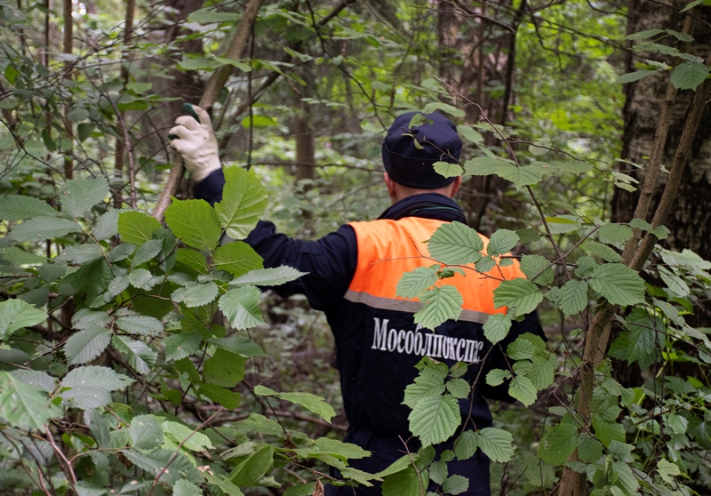 Работники ПСЧ-203 ГКУ МО «Мособлпожспас» вывели из леса заблудившуюся женщину