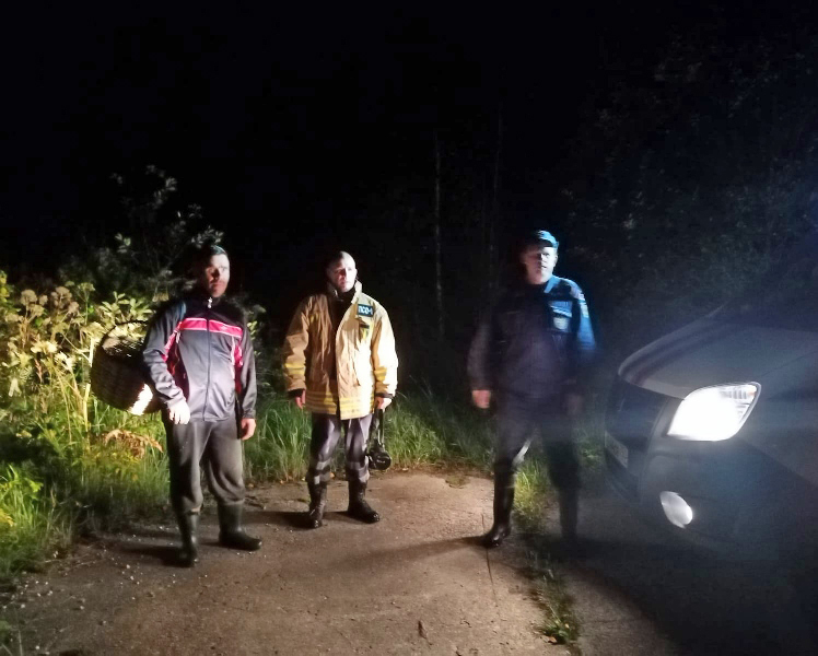 Спасатели ГКУ МО «Мособлпожспас» приняли участие в поиске заблудившегося грибника