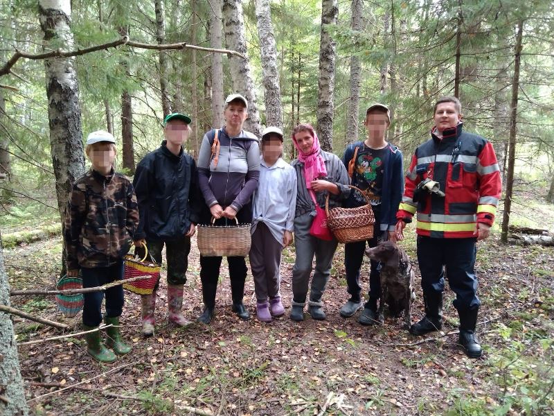Работники ГКУ МО «Мособлпожспас» вывели из леса группу заблудившихся грибников
