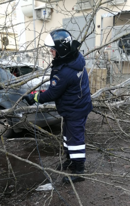 Спасатели ПСЧ-270 ГКУ МО «Мособлпожспас» ликвидировали последствия сильного ветра в Дмитрове