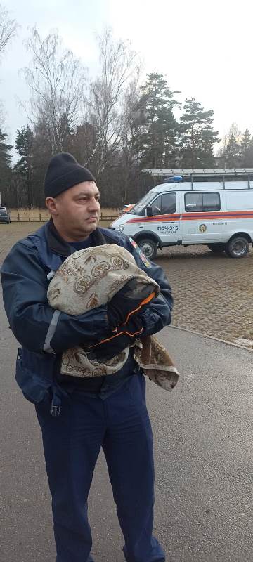 Спасатель ГКУ МО «Мособлпожспас» спас больного ястреба, обнаруженного на детской площадке