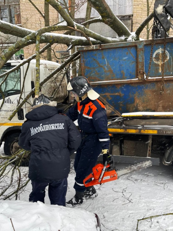 Работники ГКУ МО «Мособлпожспас» освободили грузовик от поваленного непогодой дерева