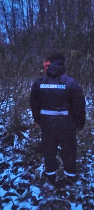 Работники ГКУ МО «Мособлпожспас» вывели из лесного массива Сергиево-Посадского округа
заблудившегося пенсионера