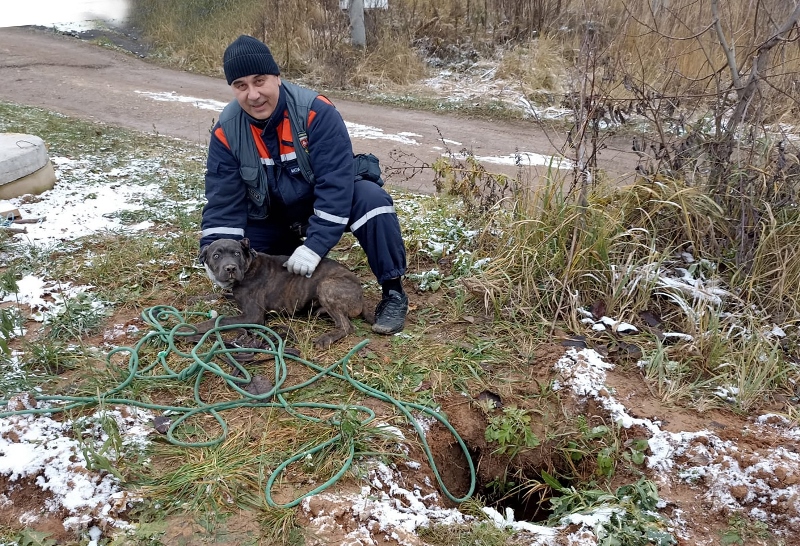 Работники ГКУ МО «Мособлпожспас» спасли собаку, провалившуюся в глубокую яму