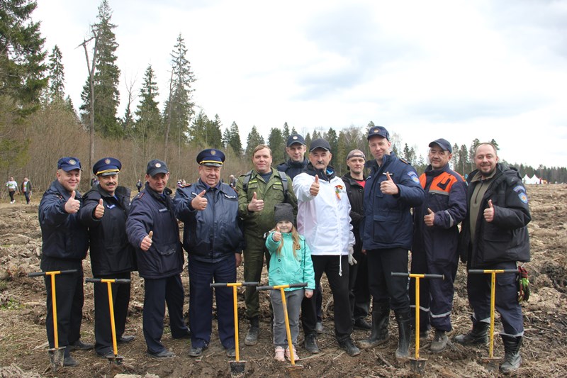 Работники ГКУ МО «Мособлпожспас» приняли участие в акции «Лес Победы»