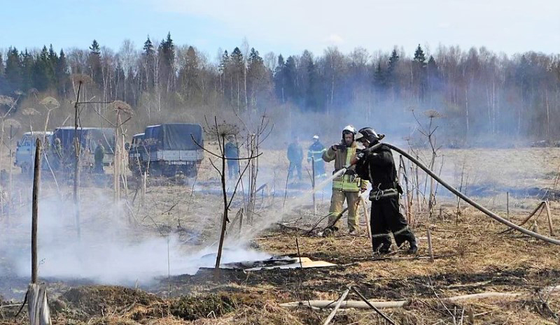 Работники ГКУ МО «Мособлпожспас» за сутки потушили четыре пала сухой травы в Подмосковье