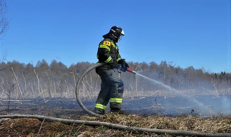 Пожарные ГКУ МО «Мособлпожспас» за сутки ликвидировали 12 палов сухой растительности в Подмосковье