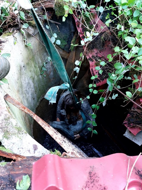 Работники ГКУ МО «Мособлпожспас» спасли собаку из заброшенного колодца в Рузе
