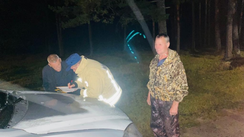 Работники 286-ой пожарно-спасательной части ГКУ МО «Мособлпожспас» вывели из леса заблудившихся приятелей