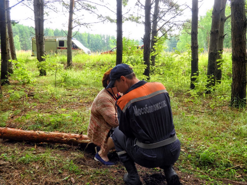 Спасатели ГКУ МО «Мособлпожспас» вывели из подмосковных лесов двух заблудившихся женщин
