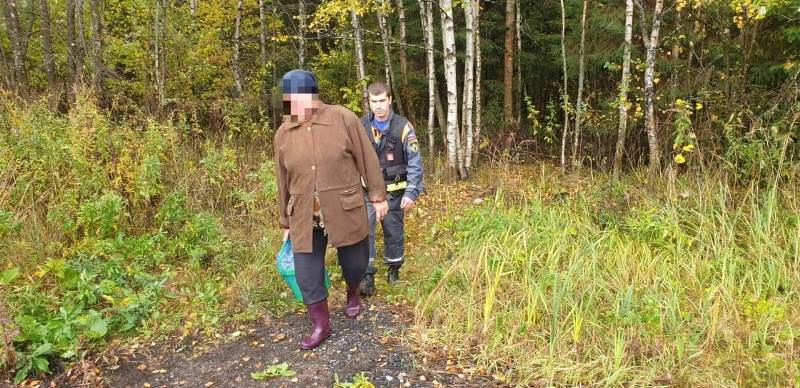 Работники ГКУ МО «Мособлпожспас» вывели из леса пенсионерку, заблудившуюся в Сергиево-Посадских лесах