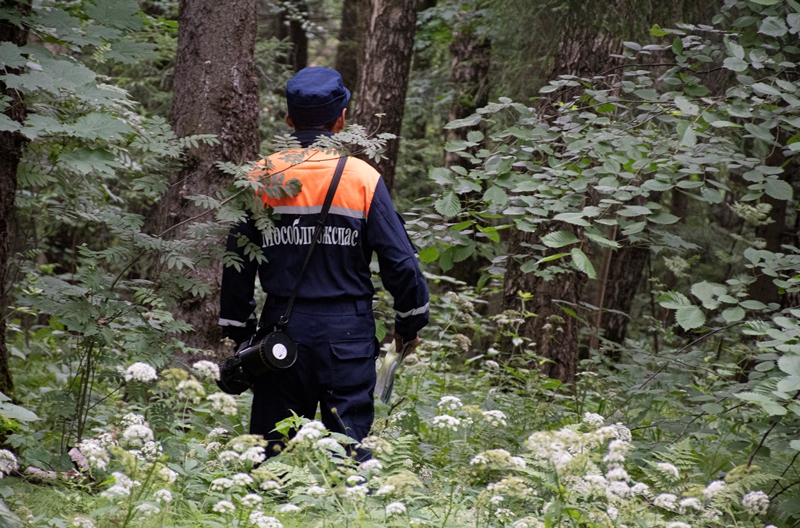 Работники ГКУ МО «Мособлпожспас» вывели двух грибников, заблудившихся в лесу Талдома