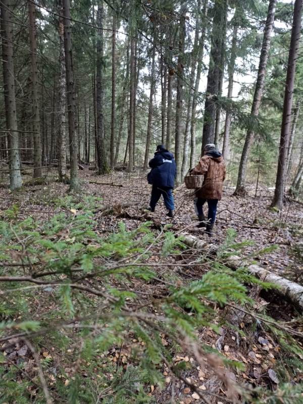 Работники ГКУ МО «Мособлпожспас» нашли и вывели из леса грибника, заблудившегося в талдомском лесу