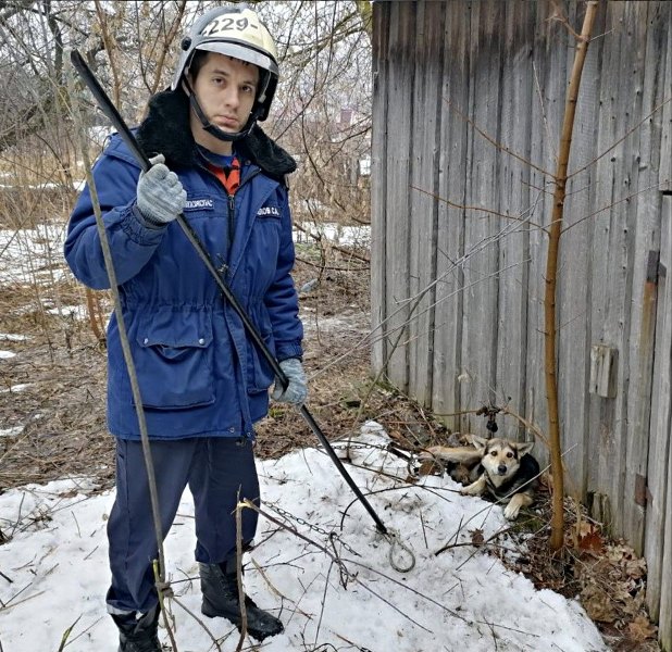 Работники ГКУ МО «Мособлпожспас» спасли попавшую в капкан собаку