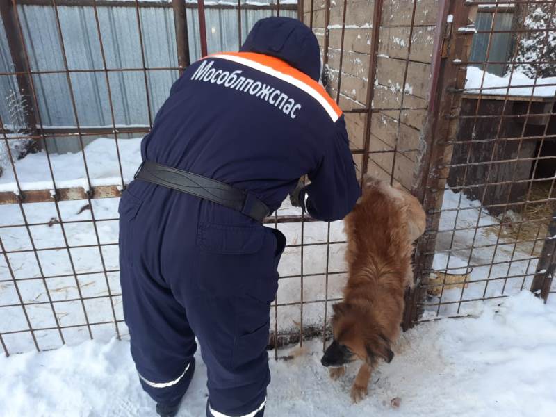 Работники ГКУ МО «Мособлпожспас» спасли собаку, застрявшую в заборе приюта для животных в Сергиевом-Посаде