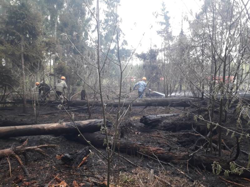 Пожарные ГКУ МО «Мособлпожспас» рекомендуют дачникам не выжигать сухую растительность