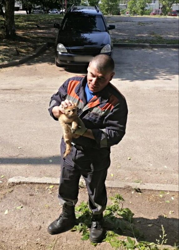 Спасатели ГКУ МО «Мособлпожспас» помогли котёнку спуститься с высокого дерева